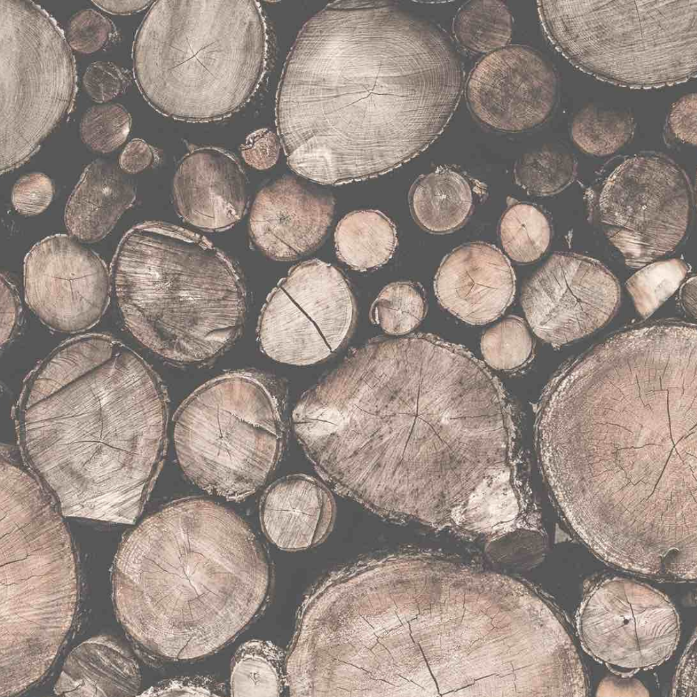 Froling Log Wood Boilers