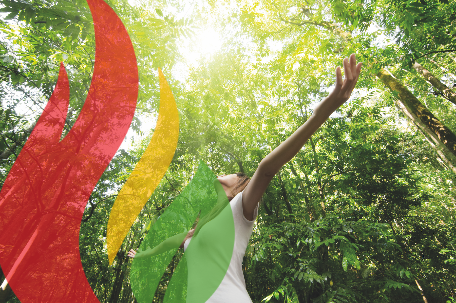 About Freedom Green Energy